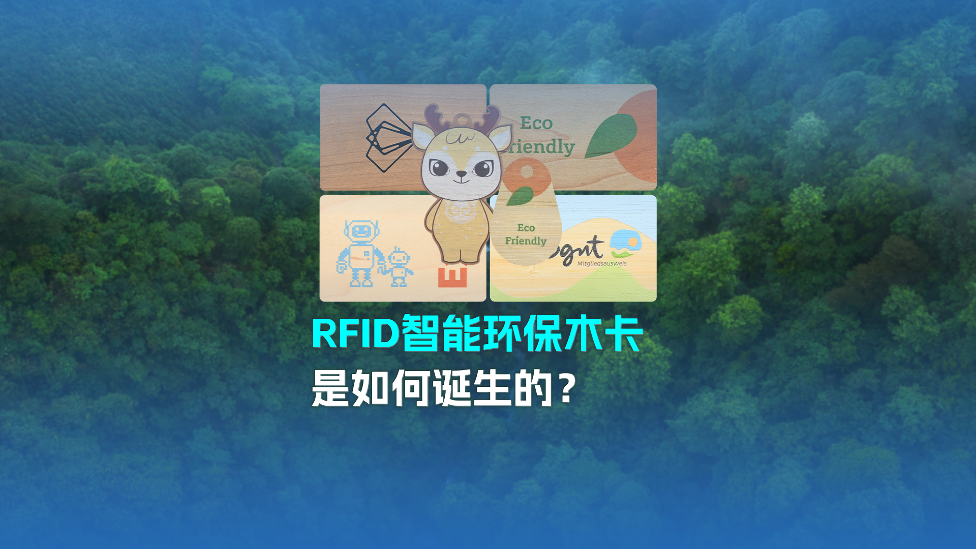 微信圖片_20250303182005 微信圖片_20250303182005