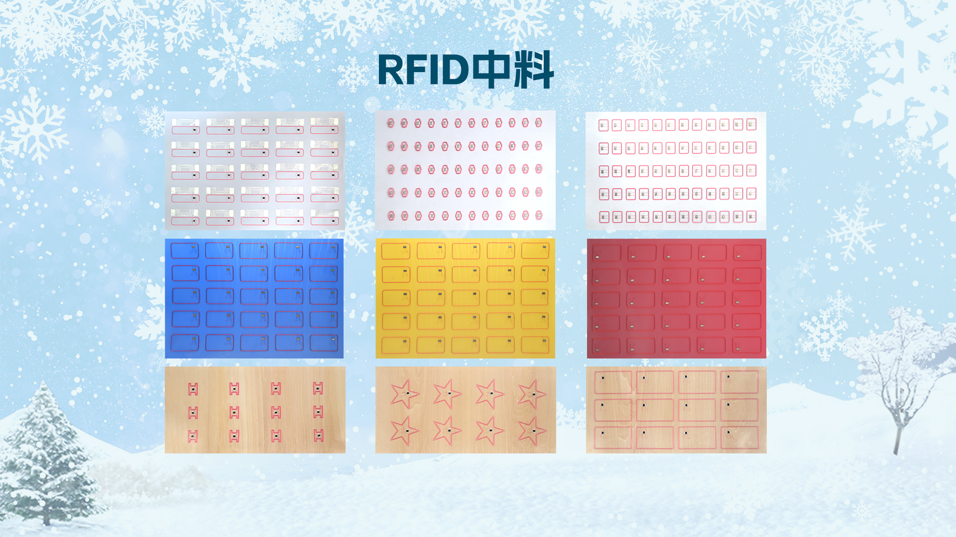 微信圖片_20251205095923_1156_127